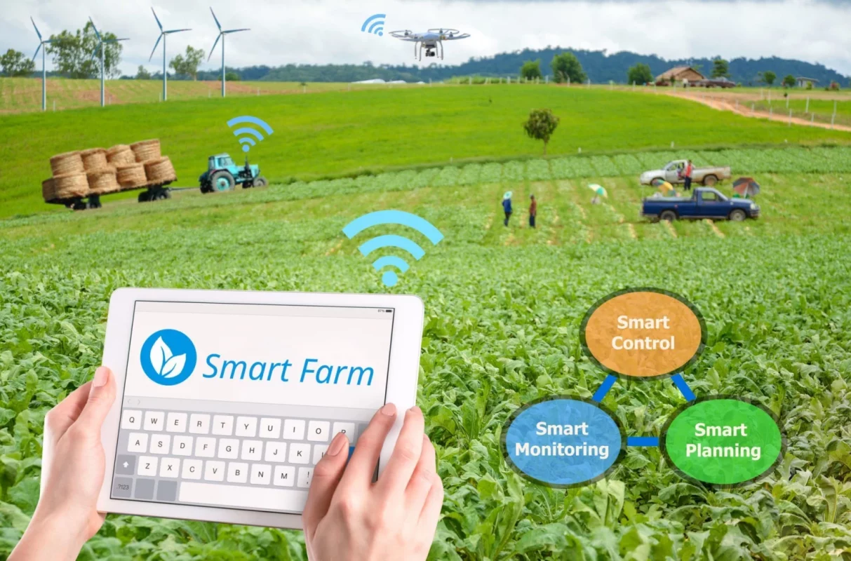Digital Transform พาเกษตรกรไทยสู่ Smart Farmer